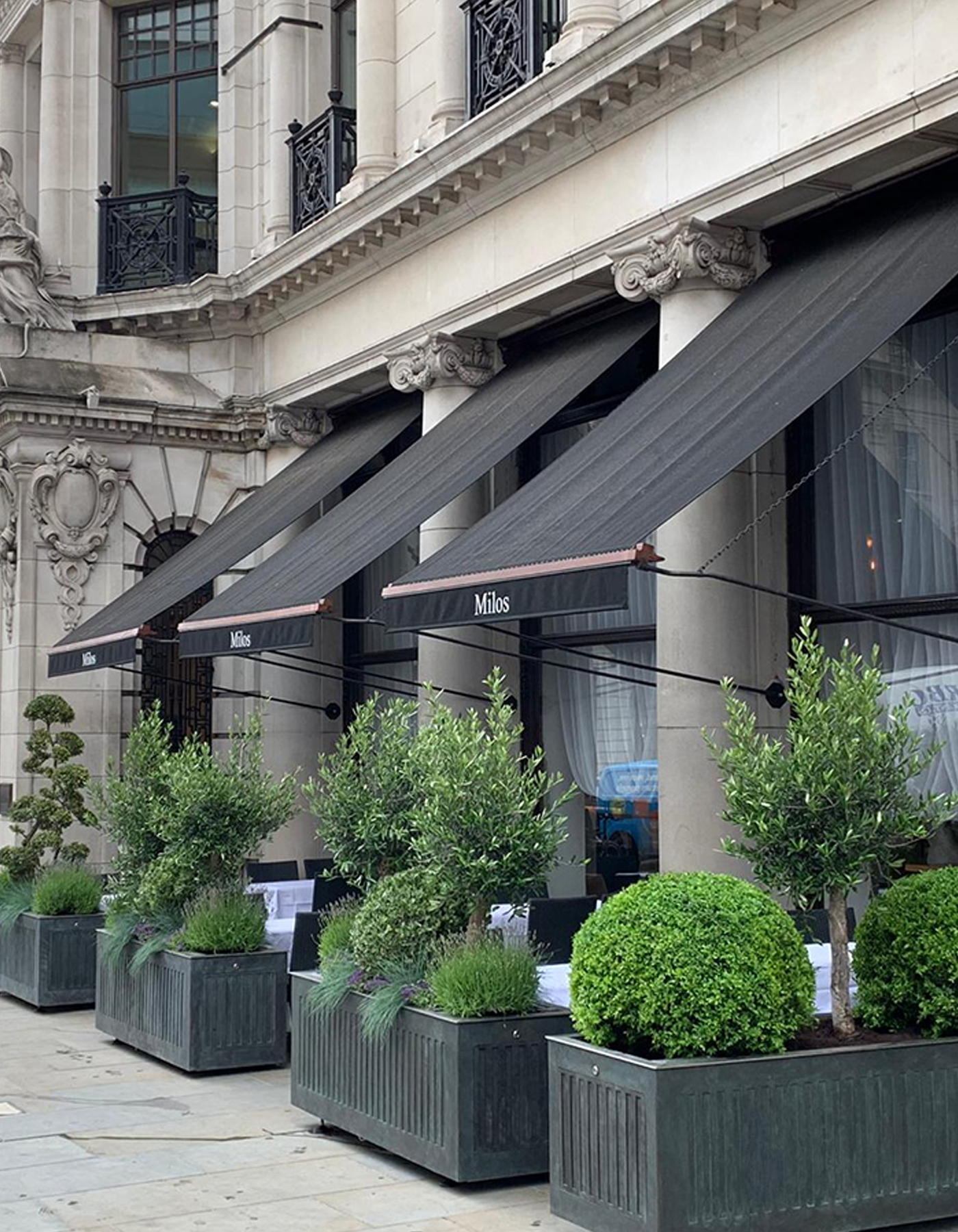 Waterloo Place Al-fresco Dining Precinct Waterloo Place Al-fresco Dining Precinct: Estiatorio Milos Restaurant